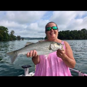 Meet your Posher, Gina